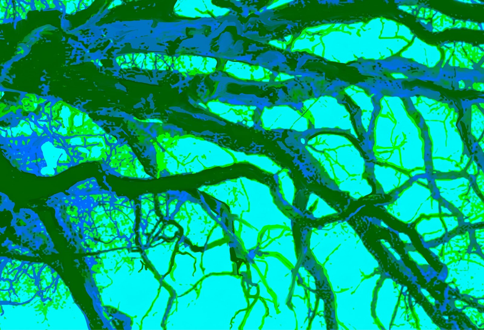 Interlacing tree branches against a cyan sky, in green and blue, from the Mycorrhiza series